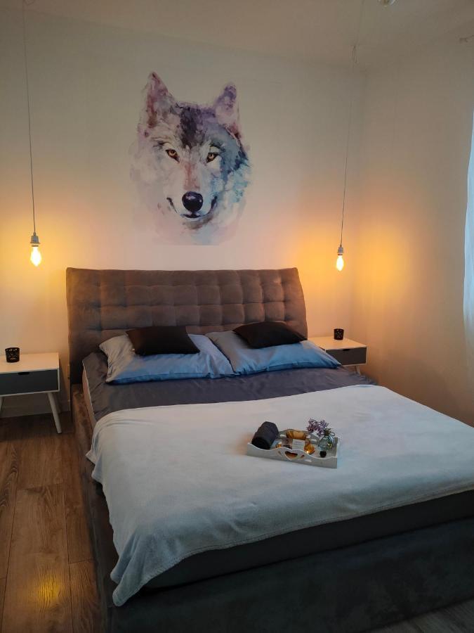 Apartamenty Olenka I - Szczytno Mazury المظهر الخارجي الصورة