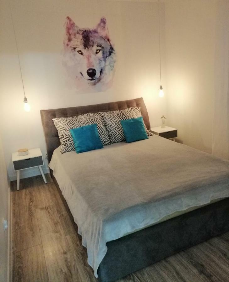 Apartamenty Olenka I - Szczytno Mazury المظهر الخارجي الصورة